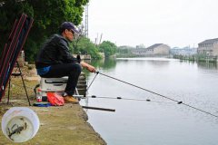 钓鱼技术 野钓的中鱼技巧