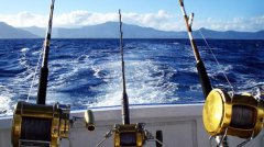 海钓技术 运用以下方法 助你成为海钓高手