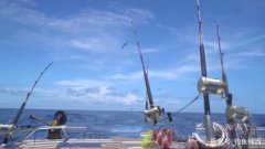 深海垂钓该如何选择正确的鱼竿、渔轮和钓组？详述如何选择