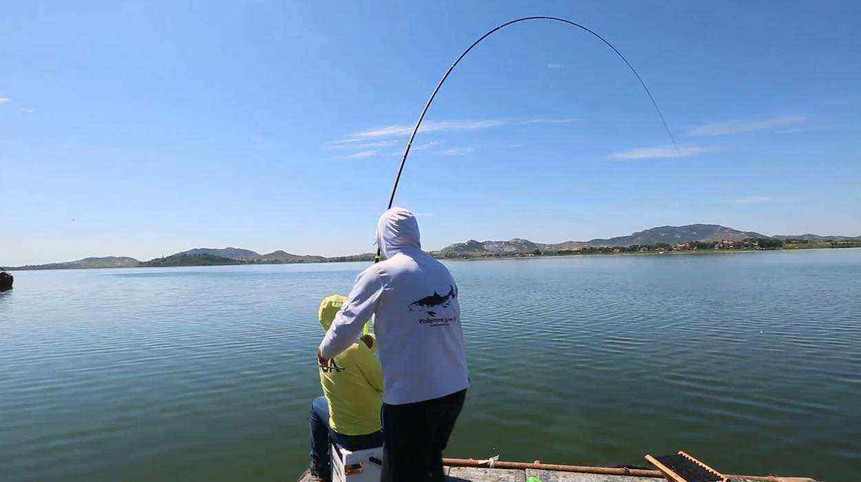 水库钓鱼必学的6个实用技巧，助你钓大鱼